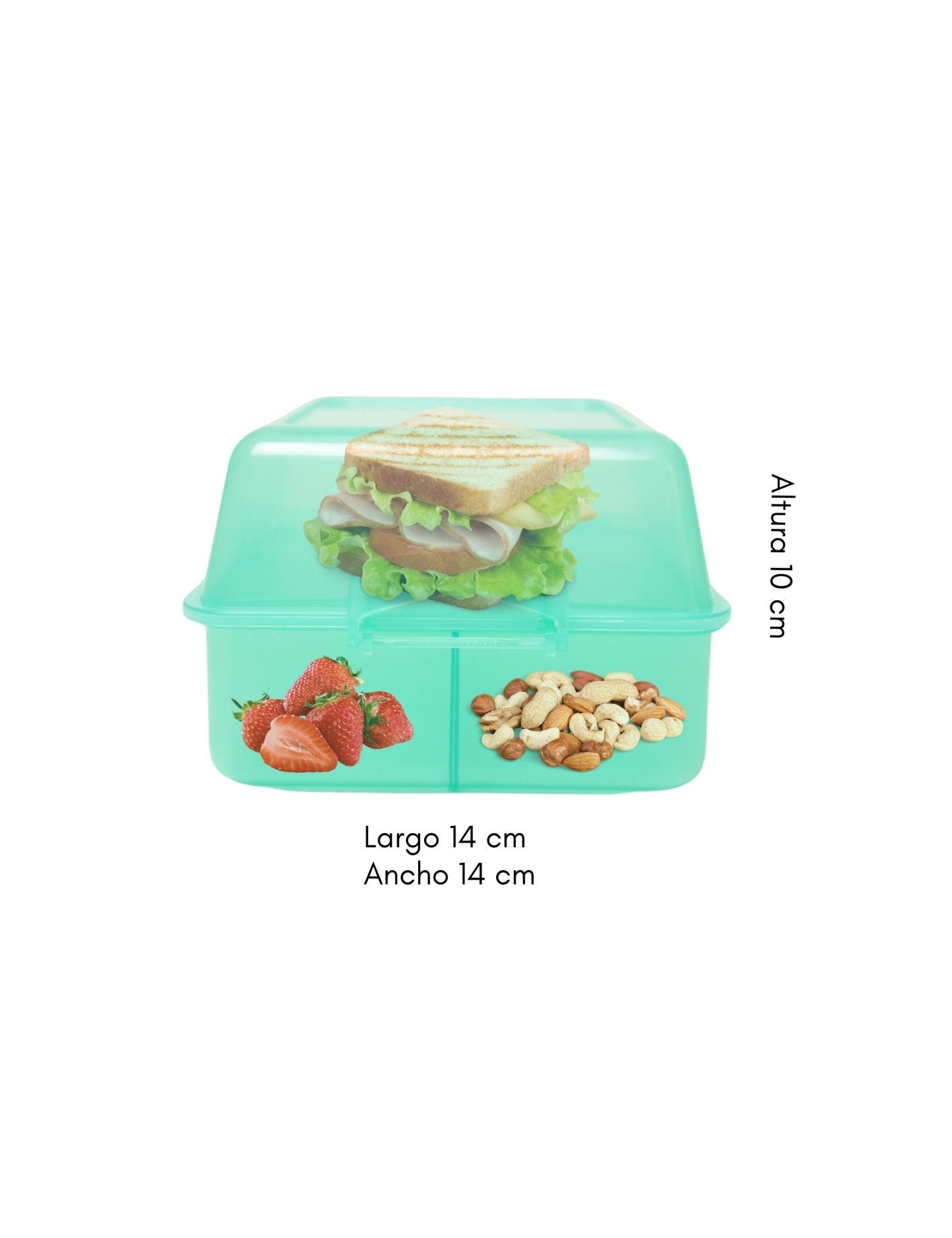 CK43078 - 1A Sandwich Box Verde - Mayoreo Calzado AndyHOGAR