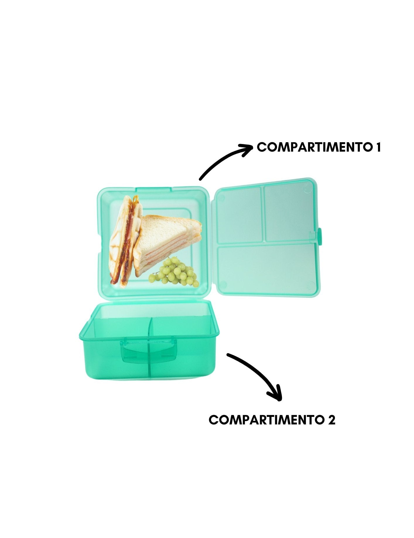 CK43078 - 1A Sandwich Box Verde - Mayoreo Calzado AndyHOGAR